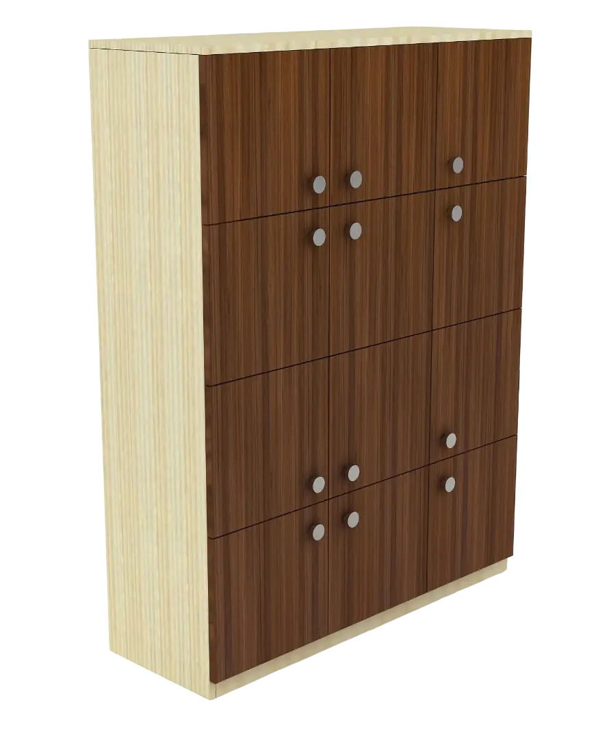 Wooden Modern locker